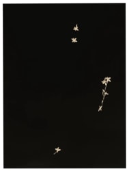 Paul Cupido, Kachou Fuugetsu 5