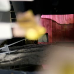 Noëlle Cuppens, The Door, The Window & The Stage #1