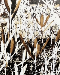 TINKEBELL., Oleum Shell isla de Curaçao #24