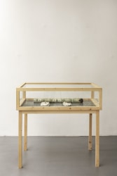 Meschac Gaba, Ensemble