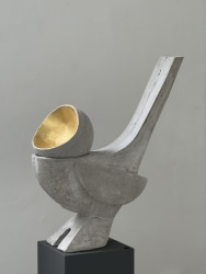 Sander Buijk, nachtegaal XL