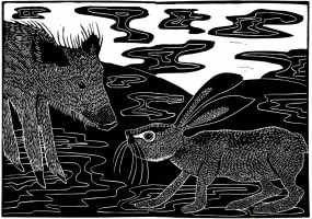 Octavie Wolters, haassie en het zwijn