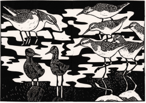 Octavie Wolters, de strandlopers