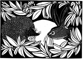 Octavie Wolters, haassie en de egel