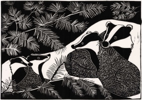 Octavie Wolters, de dassen en hun jongen