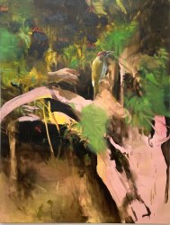 Greet Van Autgaerden, Sambucus nigra