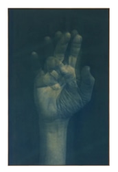 Adam Jeppesen, Work no. 158, from the series The Pond