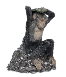 Carolein Smit, Rainy Monkey