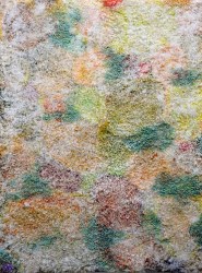 Reinoud van Vught, No title