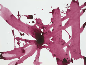 Ron Dirven, Study of nature