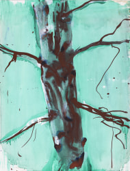 Ron Dirven, Study of nature