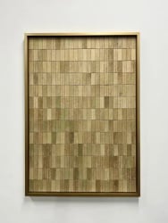 Hilde Trip, Fig leaves, framed behind museum glass 129 x 90 cm Edition of 5  Hilde Tri