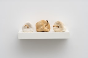 Fabiola Burgos Labra, Golden Bells