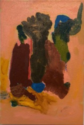 Wannes Lecompte, Z.T.