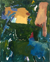 Wannes Lecompte, gekrast