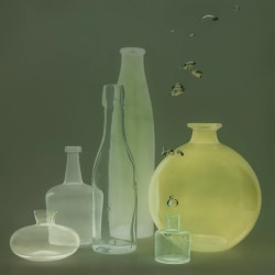 Danielle Kwaaitaal, Sole Series - Phosphorescence