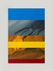 Sander Coers, The Palette (Headache)