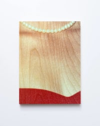 Sander Coers, A Dinner no. 04