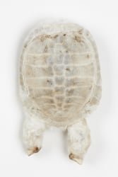 Atelier les deux garçons, Sécurité