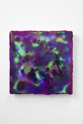 Paco Dalmau, Evolution 40 _X