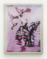 Jaya Pelupessy, Pictorial Fields, No. 26