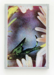 Jaya Pelupessy, Pictorial Fields, No. 24