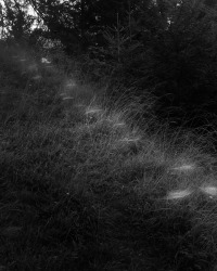 Rick van der Klooster, Untitled