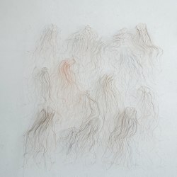 Marian Bijlenga, Horsehair drawing II