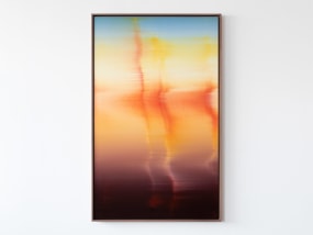 Donald Schenkel, Unexpected Guest