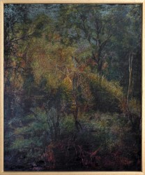 Pieter jan Martyn, Horror Vacui V