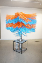 Thordur Hans, Wish-Wash