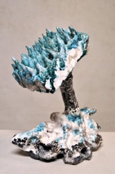 Yves Malfliet, "abajo del mar 1"