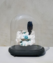 Yves Malfliet, Sagt mir wo die Blumen sind