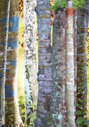 Ruud van Empel, Collage #5