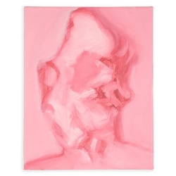 Stefaan Vermuyten, Pointy Head