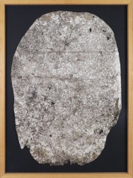 Ilse Pierard, CELL12925