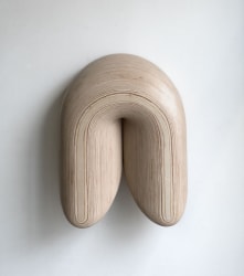 Reinoud Oudshoorn, I-25