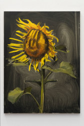 Sam Werkhoven, warm yellow-ochre on olive green