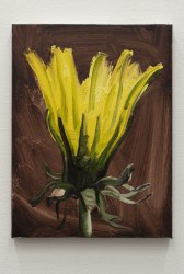 Sam Werkhoven, Yellow on red umber 1