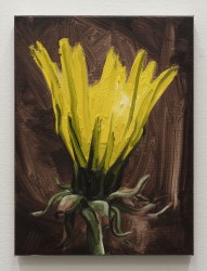 Sam Werkhoven, yellow on redumber 2