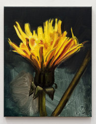 Sam Werkhoven, Yellow-orange on blue moss green