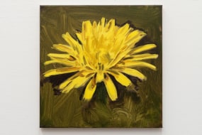 Sam Werkhoven, Yellow on olive sap green