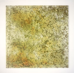 John M Armleder, Untitled