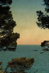 Albarrán Cabrera, The Mouth of Krishna #60920