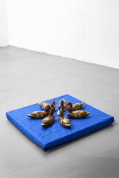 Guillaume Bijl, Sorry