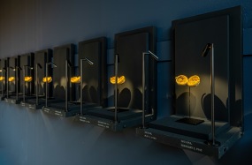 Caspar Berger, CARVED TIME