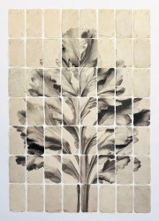 Joost Vandebrug, 26-20 acanthus