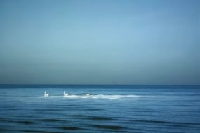 Amy Friend, When they - were three