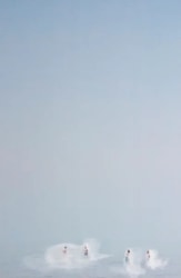 Amy Friend, Unstable in its Essence