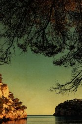 Albarrán Cabrera, The Mouth of Krishna #60640